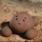 대표 사진