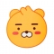 대표 사진