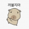 대표 사진