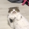 대표 사진