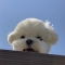 대표 사진