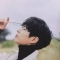 대표 사진