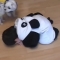 대표 사진