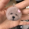 대표 사진
