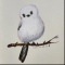 대표 사진