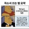 대표 사진