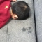 대표 사진