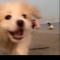 대표 사진