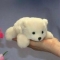 대표 사진
