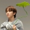 대표 사진