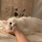 대표 사진