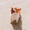 대표 사진