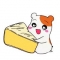 대표 사진