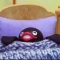 대표 사진