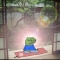 대표 사진