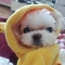 대표 사진