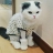 대표 사진