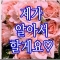 대표 사진