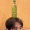 대표 사진