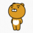 대표 사진