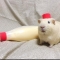 대표 사진