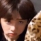 대표 사진