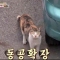 대표 사진