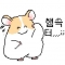 대표 사진