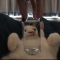 대표 사진