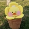 대표 사진