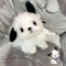 대표 사진