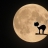 대표 사진