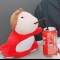 대표 사진