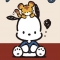 대표 사진