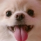 대표 사진