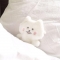 대표 사진