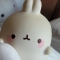 대표 사진