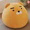 대표 사진
