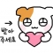 대표 사진