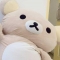 대표 사진