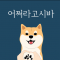 대표 사진