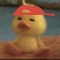 대표 사진