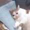 대표 사진