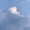 대표 사진