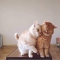 대표 사진