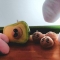 대표 사진