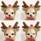 대표 사진