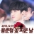 대표 사진