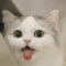 대표 사진
