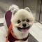 대표 사진